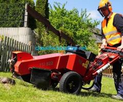 Want Affordable Stump Grinding Services?