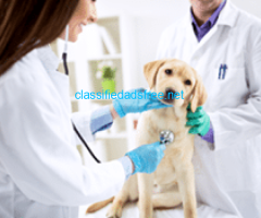 Vet Disinfectant, Cleaning & Hygiene Range | UDF Healthcare