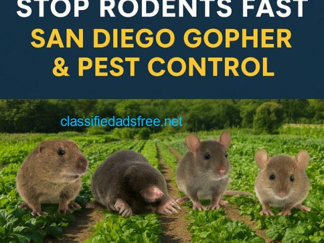 San Diego Gopher & Rodent Control – Trusted Since 1991 - 1