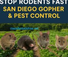 San Diego Gopher & Rodent Control – Trusted Since 1991