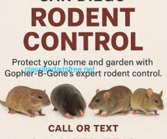 San Diego Gopher & Rodent Control – Safe, Effective, Local